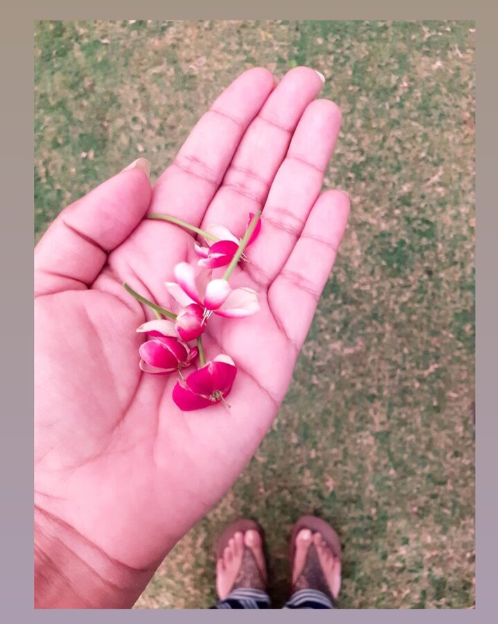 An open palm holding flowers, a quiet moment of reflection
